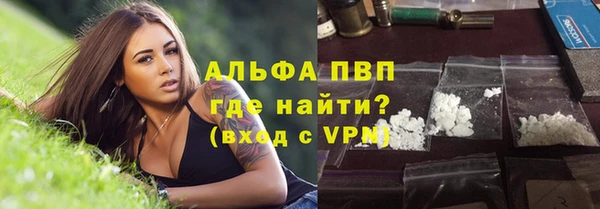 индика Белоозёрский