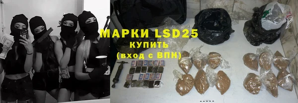 индика Белоозёрский