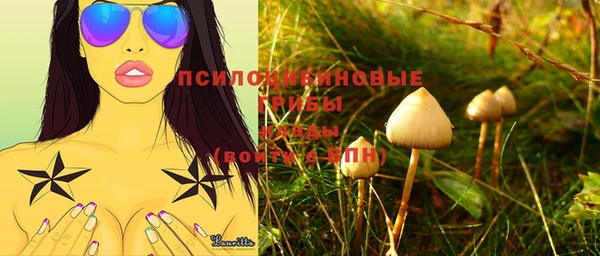 индика Белоозёрский