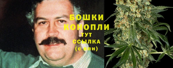 индика Белоозёрский