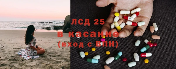 индика Белоозёрский
