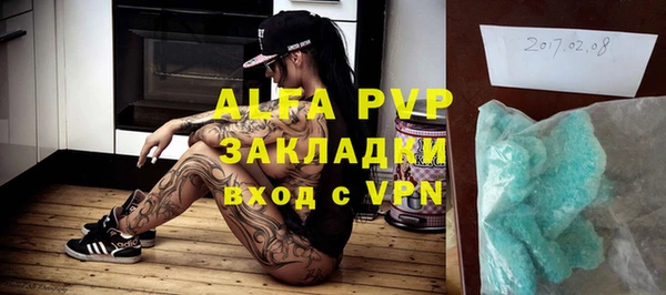 индика Белоозёрский