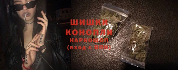 индика Белоозёрский